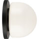 Pizzazz Wall Sconce Wall Light in Matte Black