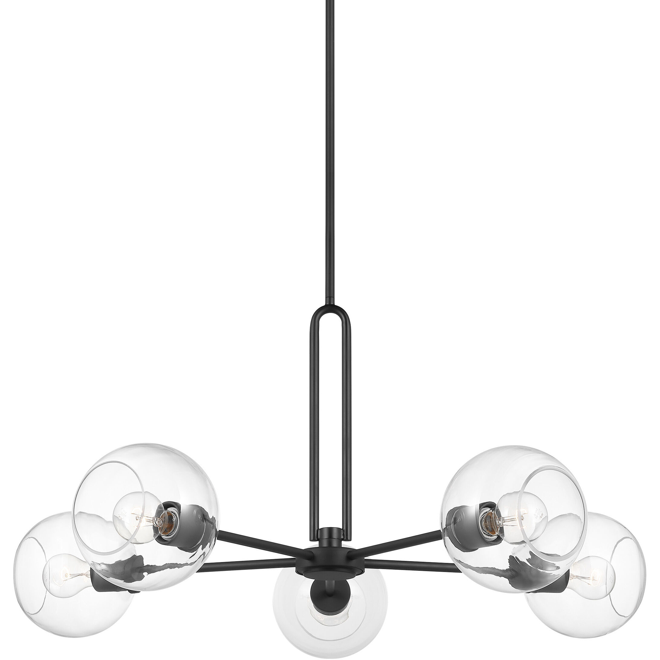 Codyn 5 Light 34 inch Midnight Black Chandelier Ceiling Light