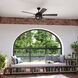 Barnes 21.26 inch Matte Black with Chestnut-Black Chestnut Blades Ceiling Fan