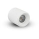 NODE Series White Surface Mounted Downlight Ceiling Light