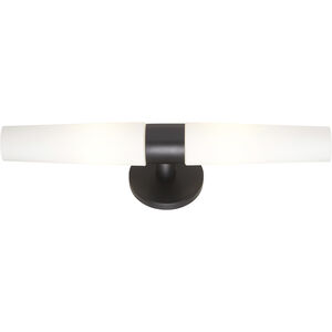 Saber 2 Light 20.25 inch Wall Sconce