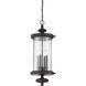 Palmer 4 Light 12.5 inch Walnut Patina Outdoor Hanging Lantern