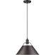 Orwell 1 Light 14 inch Matte Black Pendant Ceiling Light in Rubbed Bronze, Large