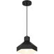 Poly LED 11 inch Matte Black Pendant Ceiling Light