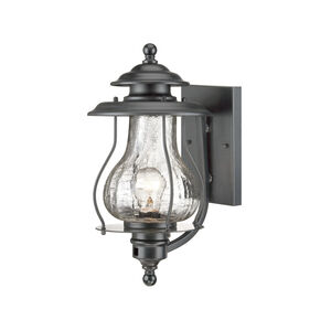 Blue Ridge 1 Light 8.00 inch Outdoor Wall Light