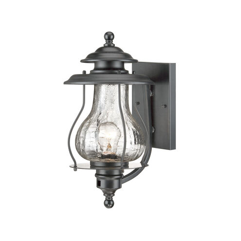 Blue Ridge 1 Light 16 inch Matte Black Exterior Wall Mount
