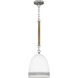 Nash 1 Light 10.00 inch Pendant
