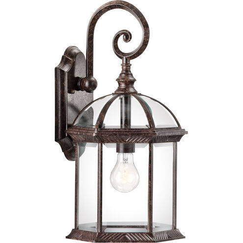 Barrie 1 Light 19 inch Tannery Bronze Outdoor Wall in Incandescent, Large