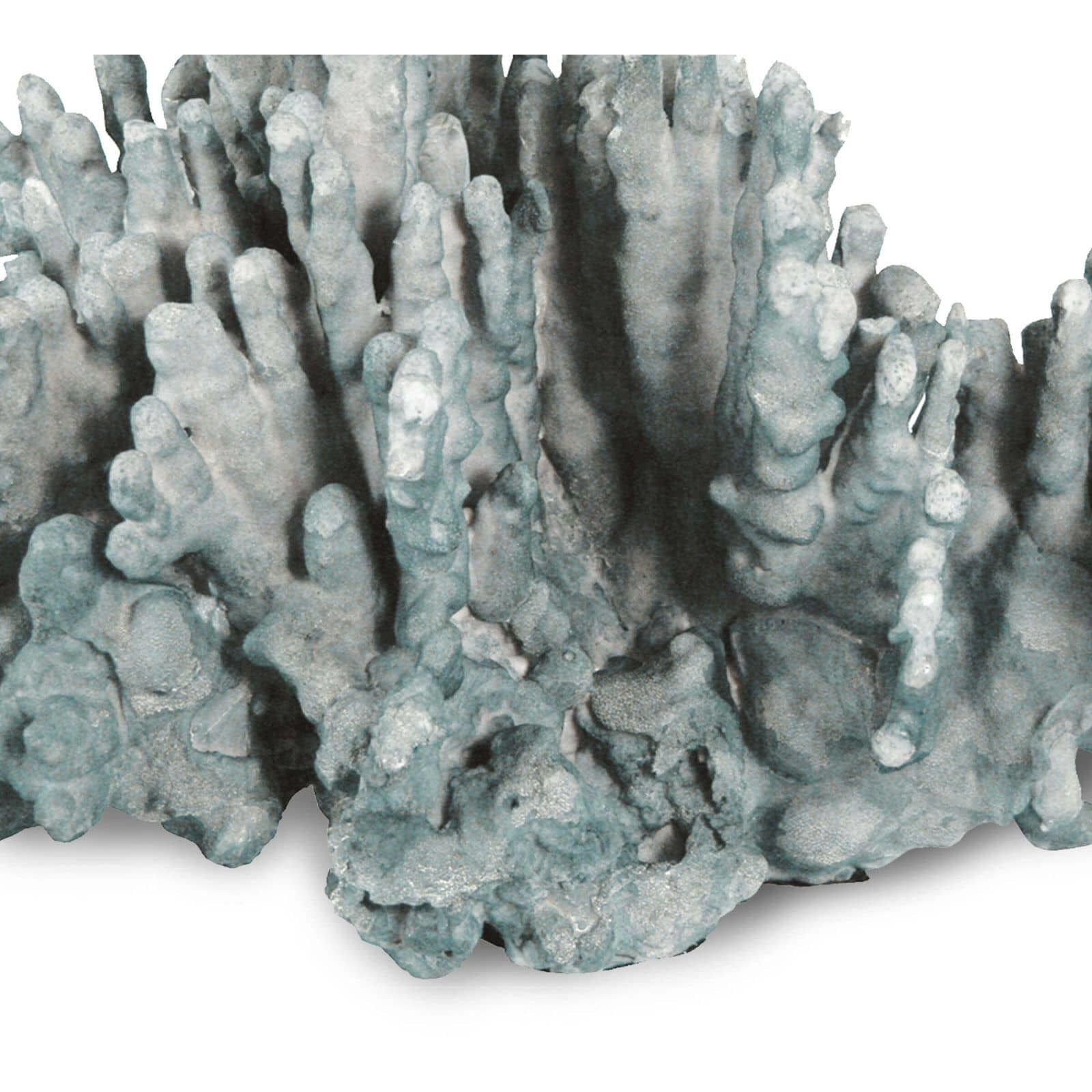Coral Blue Objet, Large