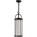 Greenwood LED 6 inch Black Outdoor Hanging Light