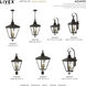 Adams 3 Light 10.63 inch Bronze with Antique Brass Finish Cluster Outdoor Large Pendant Lantern Ceiling Light in Bronze with Antique Brass Accent