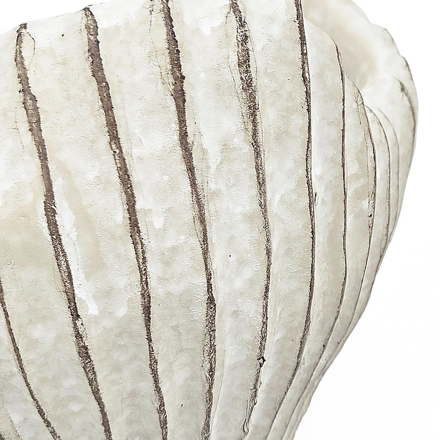 Clam Shell Beige Planter