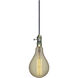 Lumos Incandescent PS52 Medium E26 60 watt 120V 2200K Light Bulb
