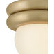 Noa 1 Light 8 inch Lacquered Brass Convertible Flush Mount Ceiling Light