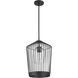 Lido 1 Light 13 inch Matte Black Pendant Ceiling Light