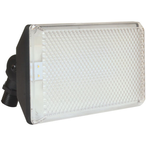 Tpdw LED 4 inch Black Outdoor Floodlight