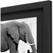 Safari Bath White and Black and Gray Framed Art
