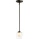 Simple 1 Light 5 inch Dark Smoke Mini Pendant Ceiling Light