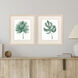 Plant Press Green Framed Art, Propac