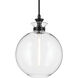 Laria 1 Light Black Pendant Ceiling Light in Clear