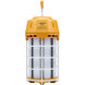 Satco S13172