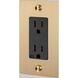1G Duplex 125 Brass Outlet