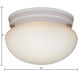 Elowen 2 Light 10 inch White Flush Mount Ceiling Light
