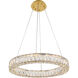 Monroe 24 inch Gold Chandelier Ceiling Light