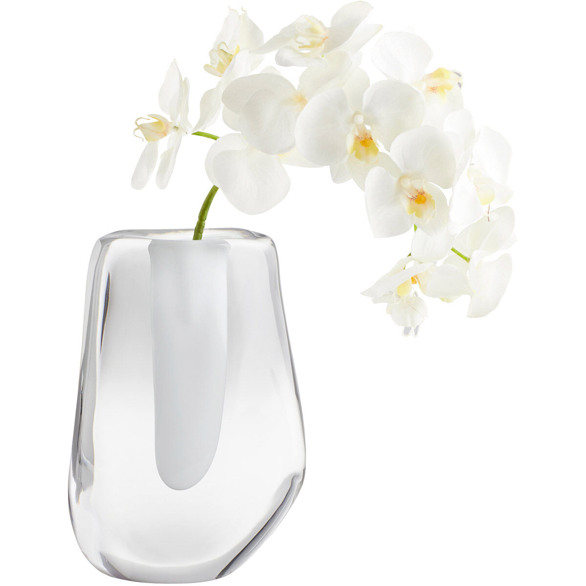 Clear Oppulence 11 X 8 inch Vase
