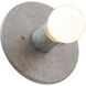 Ambiance Collection 1 Light Concrete Wall Sconce Wall Light