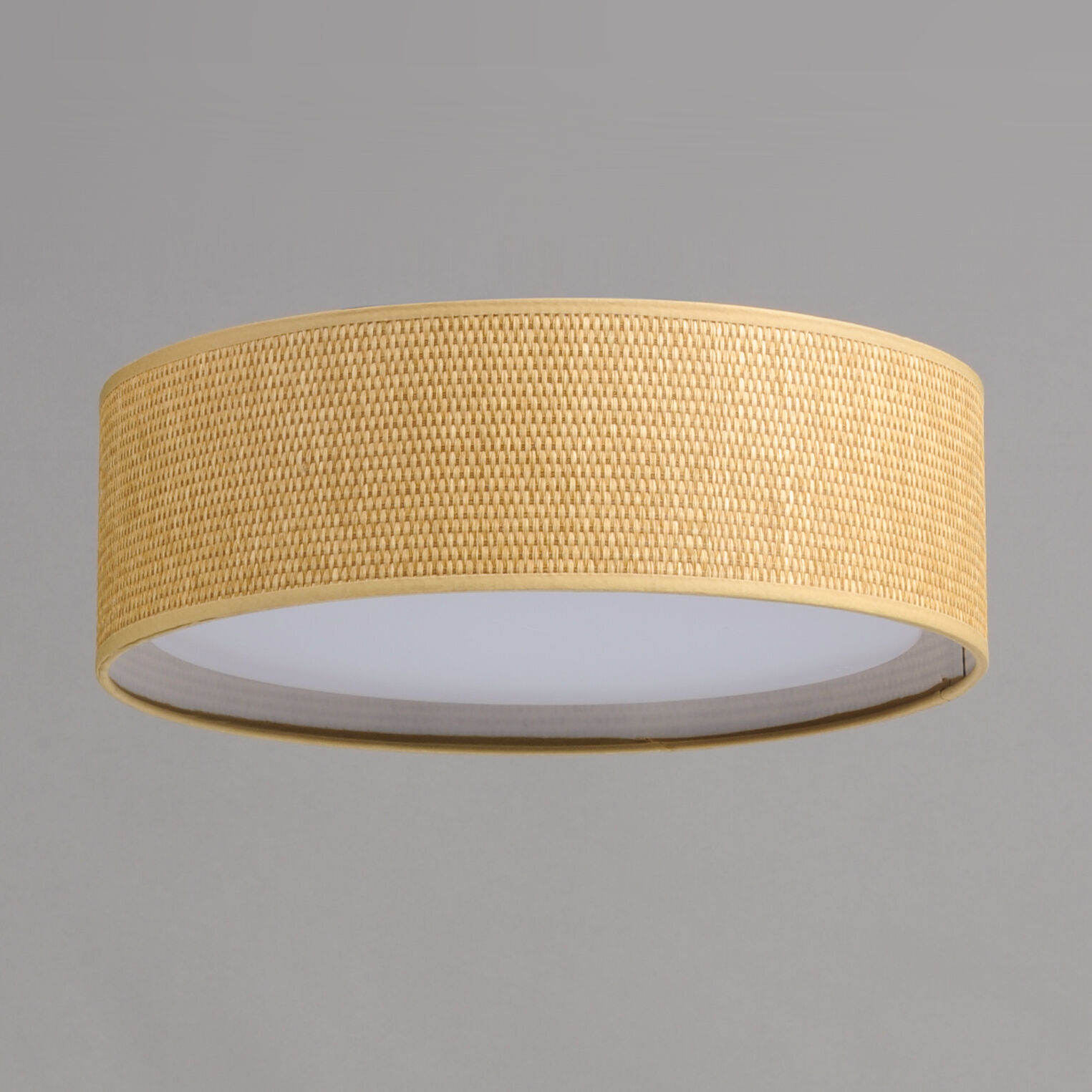 Prime LED 16 inch Flush Mount Ceiling Light in Grass Cloth