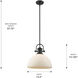 Yep Hines 1 Light 13.5 inch Matte Black Pendant Ceiling Light in Opal Glass, Large