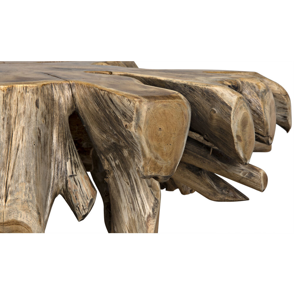 Teak Root Clear Coat Semi - Multilayered Coffee Table