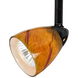 Serpentine 1 Light 120V Black Track Head Ceiling Light
