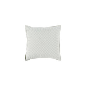 Hamden 18 X 18 inch Mint Throw Pillow