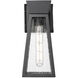 Lucian LED 12 inch Black Outdoor Wall Light