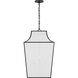 ED Ellen DeGeneres Arnio 4 Light 22 inch Aged Iron Pendant Ceiling Light