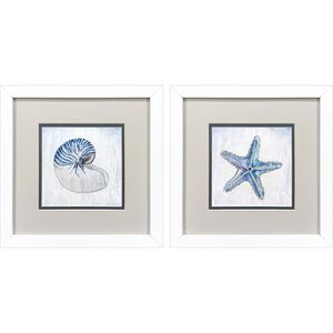 Azure Shell Blue and Gray Framed Art