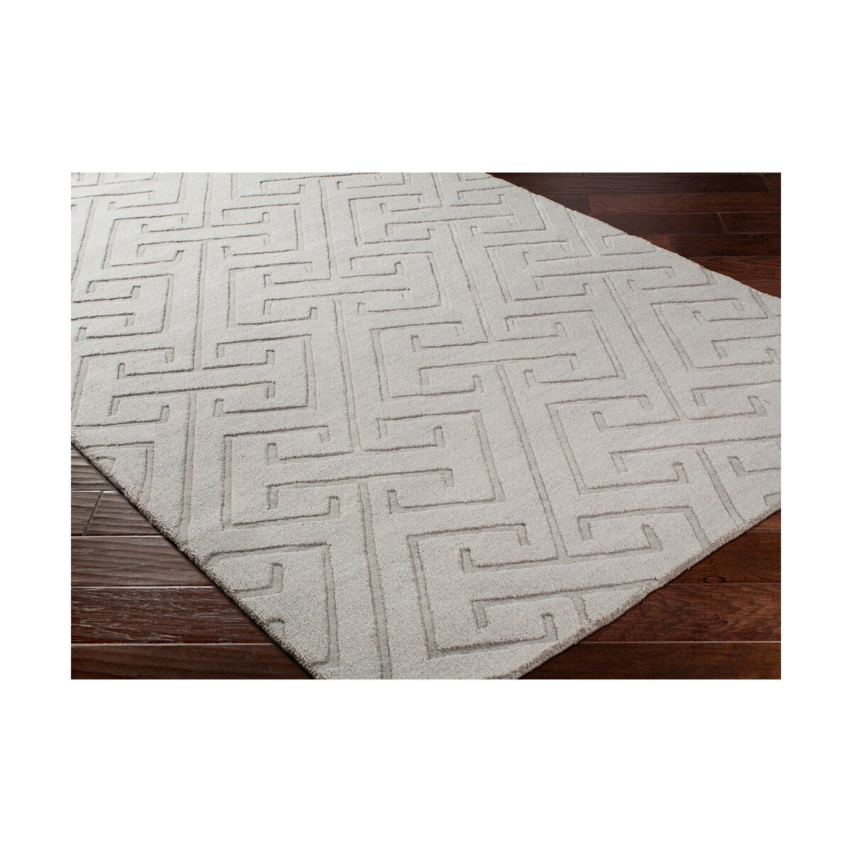 Mystique 63 X 39 inch Light Gray Rugs, Rectangle
