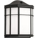 Bristol LED 9.5 inch Black Outdoor Wall Sconce