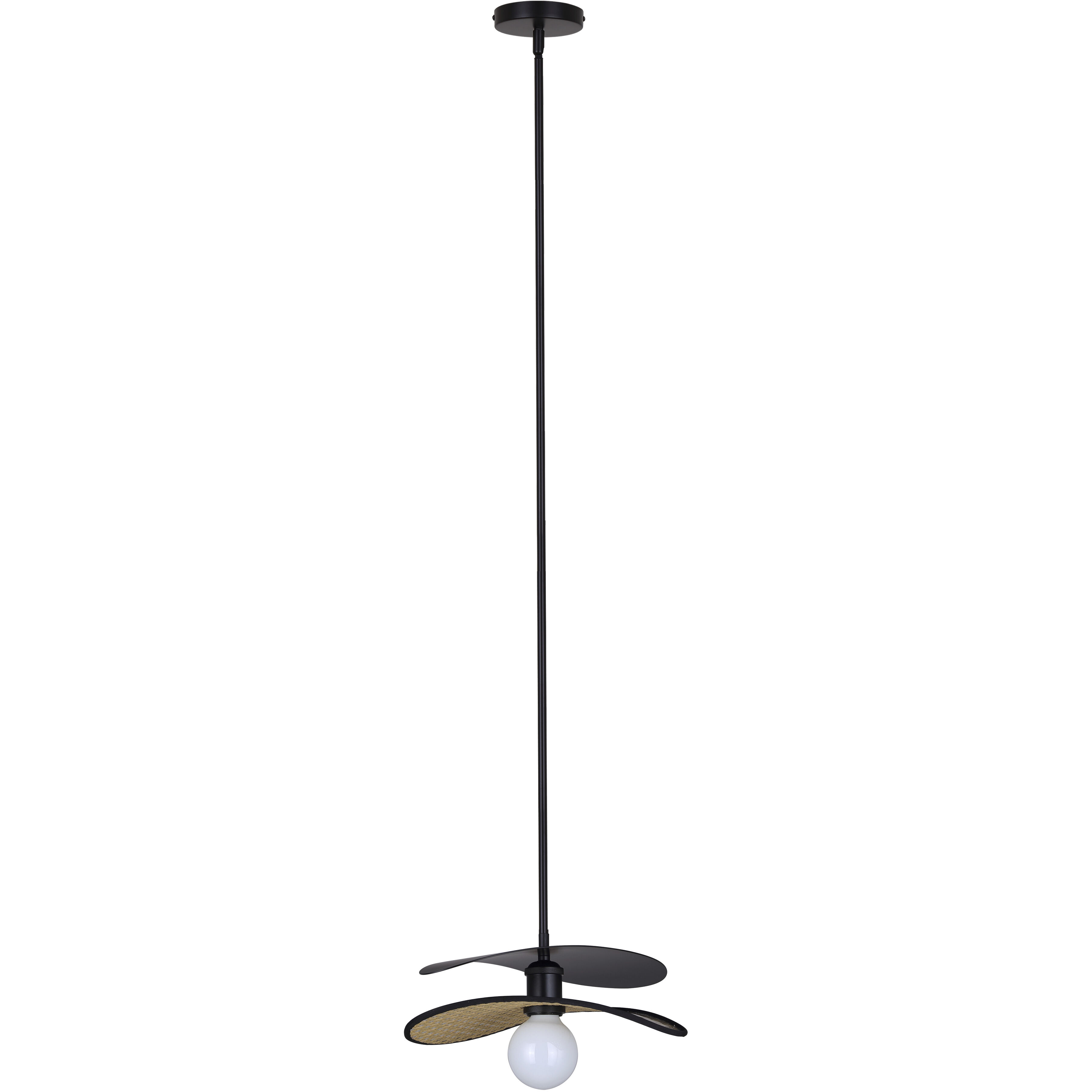 Elodie 1 Light 13.75 inch Pendant Ceiling Light in Matte Black