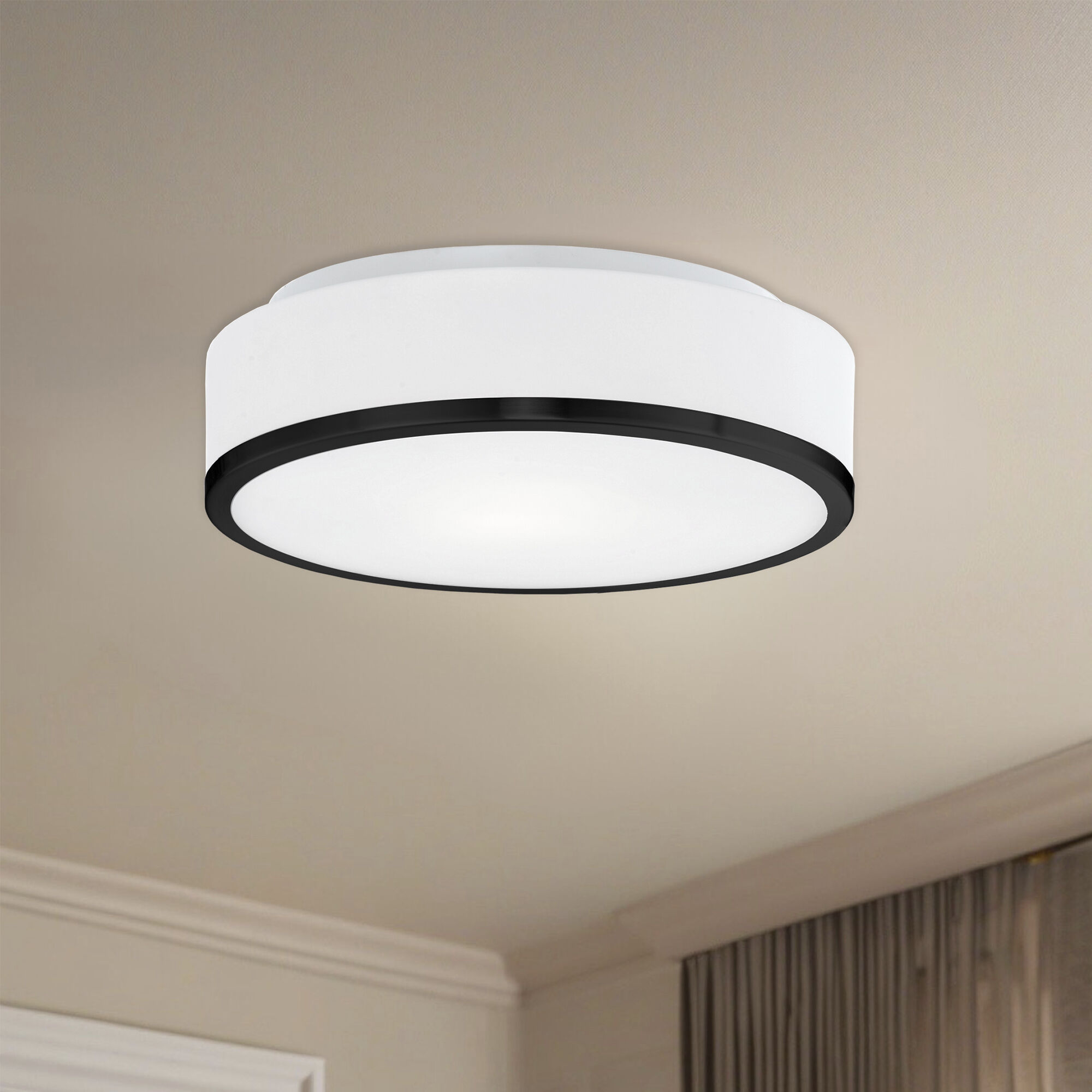 Charlie 2 Light 11.5 inch Black Flush Mount Ceiling Light