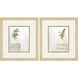 Vases Brown and Green Framed Art