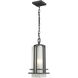 Abbey 1 Light 6.63 inch Outdoor Pendant/Chandelier