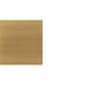 Daxton Sconce Wall Light
