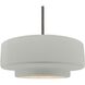 Radiance LED 16.25 inch Brushed Nickel and Matte White Pendant Ceiling Light