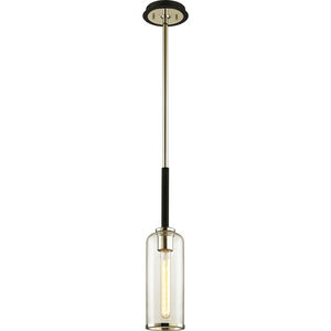Aeon 1 Light 6 inch Carbide Black and Polished Nickel Pendant Ceiling Light
