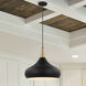 Phoenix 1 Light 18 inch Matte Black/Burnished Brass Pendant Ceiling Light