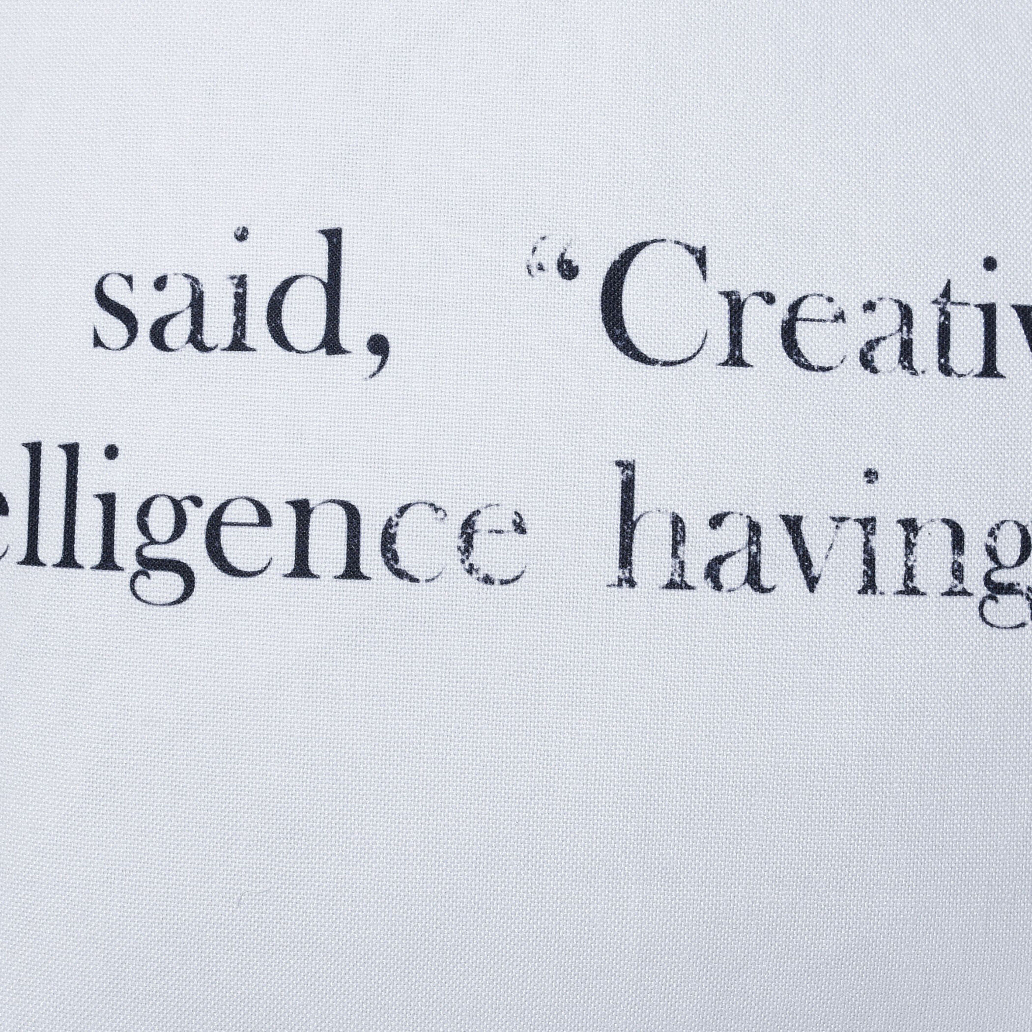 Dann Foley 24 inch White Throw Pillow