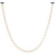 Akoya LED 3.25 inch Chrome Pendant Ceiling Light